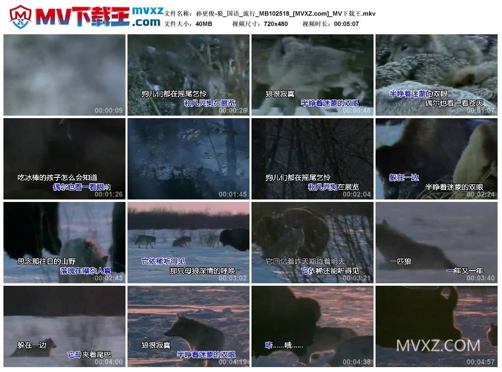 孙更俊-狼_国语_流行_MB102518